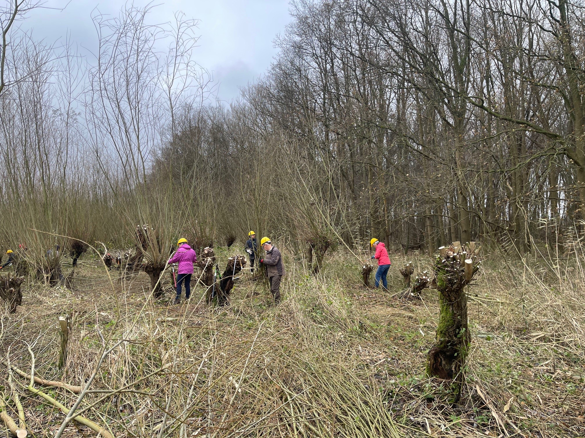 Knotten 2